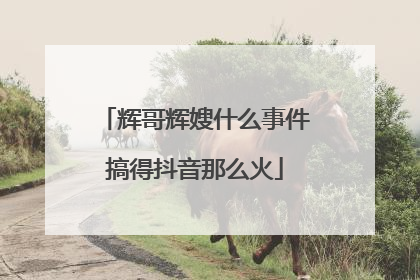 辉哥辉嫂什么事件搞得抖音那么火