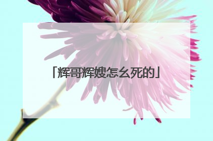 辉哥辉嫂怎幺死的