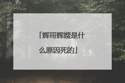 辉哥辉嫂是什么原因死的