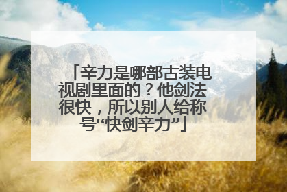 辛力是哪部古装电视剧里面的？他剑法很快，所以别人给称号“快剑辛力”