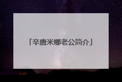 辛唐米娜老公简介