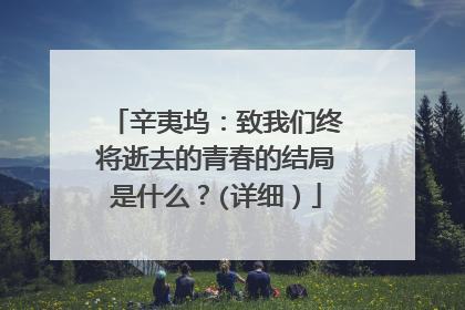 辛夷坞：致我们终将逝去的青春的结局是什么？(详细）