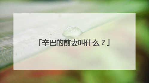 辛巴的前妻叫什么？