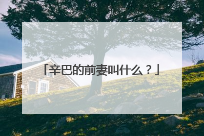 辛巴的前妻叫什么?