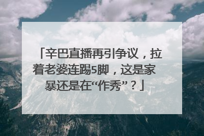 辛巴直播再引争议,拉着老婆连踢5脚,这是家暴还是在“作秀”?