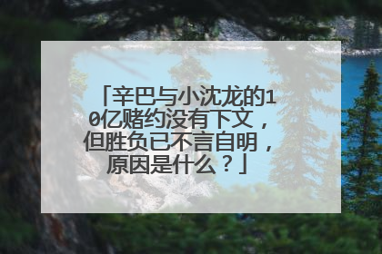 辛巴与小沈龙的10亿赌约没有下文，但胜负已不言自明，原因是什么？