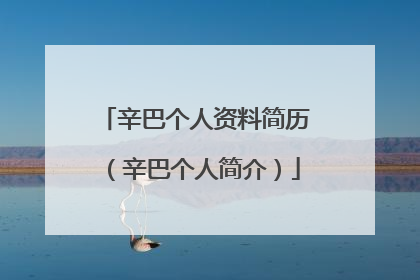 辛巴个人资料简历（辛巴个人简介）