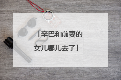 辛巴和前妻的女儿哪儿去了