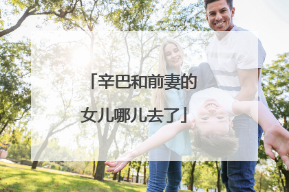 辛巴和前妻的女儿哪儿去了