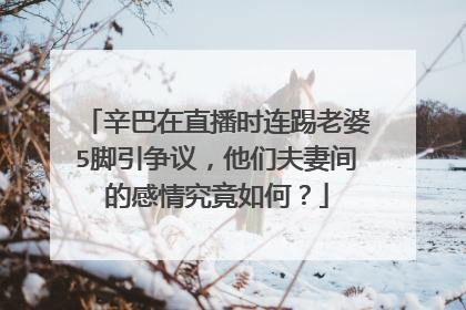 辛巴在直播时连踢老婆5脚引争议,他们夫妻间的感情究竟如何?