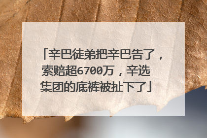 辛巴徒弟把辛巴告了,索赔超6700万,辛选集团的底裤被扯下了