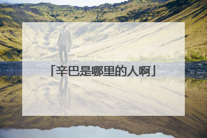 辛巴是哪里的人啊