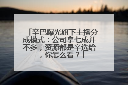 辛巴曝光旗下主播分成模式：公司拿七成并不多，资源都是辛选给，你怎么看？