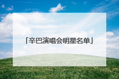 辛巴演唱会明星名单