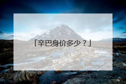 辛巴身价多少？