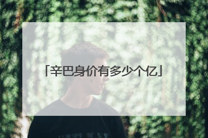 辛巴身价有多少个亿