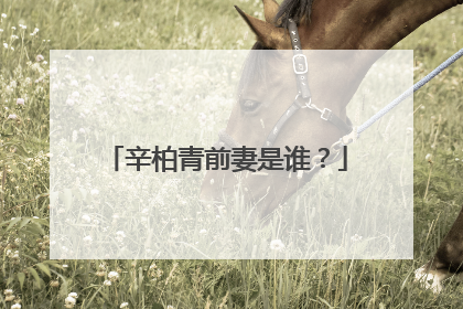 辛柏青前妻是谁？