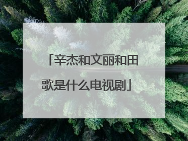 辛杰和文丽和田歌是什么电视剧