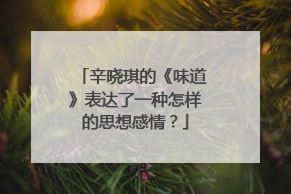 辛晓琪的《味道》表达了一种怎样的思想感情?