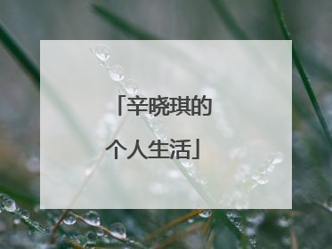 辛晓琪的个人生活
