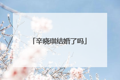 辛晓琪结婚了吗