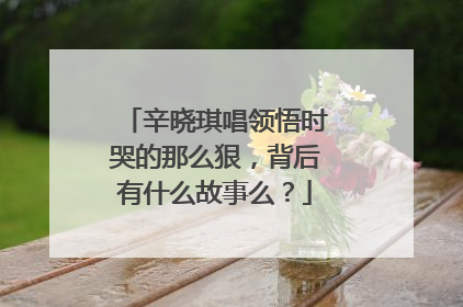 辛晓琪唱领悟时哭的那么狠，背后有什么故事么？