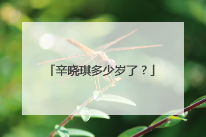 辛晓琪多少岁了？