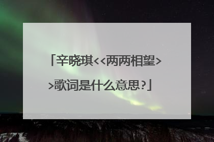 辛晓琪<<两两相望>>歌词是什么意思?