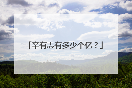 辛有志有多少个亿?