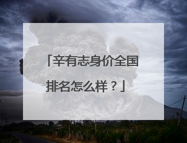 辛有志身价全国排名怎么样?