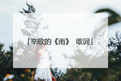 辛欣的《雨》 歌词