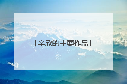 辛欣的主要作品