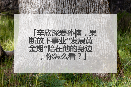 辛欣深爱孙楠,果断放下事业“发展黄金期”陪在他的身边,你怎么看?