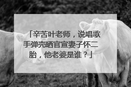 辛苦叶老师，说唱歌手弹壳晒官宣妻子怀二胎，他老婆是谁？