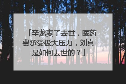 辛龙妻子去世,医药费承受极大压力,刘真是如何去世的?