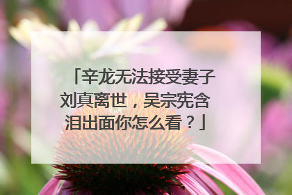 辛龙无法接受妻子刘真离世,吴宗宪含泪出面你怎么看?