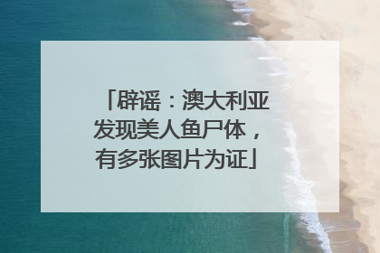 辟谣：澳大利亚发现美人鱼尸体，有多张图片为证