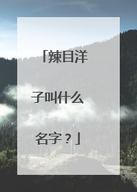 辣目洋子叫什么名字?