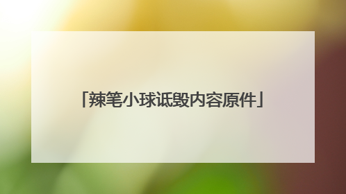 辣笔小球诋毁内容原件