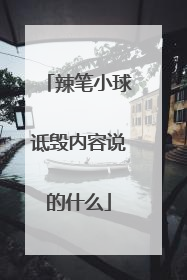 辣笔小球诋毁内容说的什么