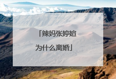 辣妈张婷媗为什么离婚