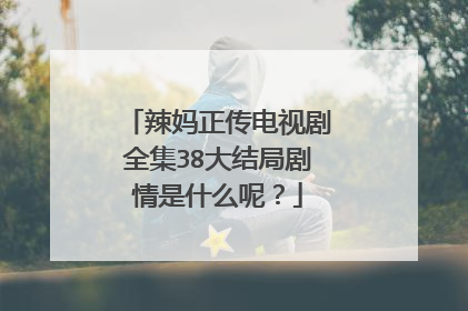 辣妈正传电视剧全集38大结局剧情是什么呢？