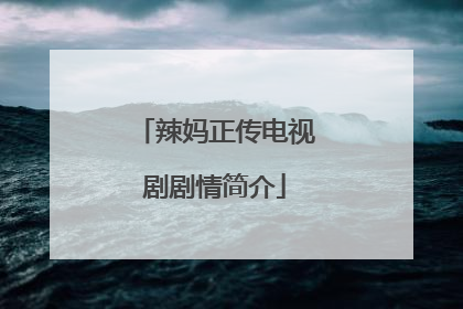 辣妈正传电视剧剧情简介