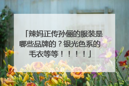 辣妈正传孙俪的服装是哪些品牌的?银光色系的毛衣等等!!!!