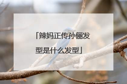 辣妈正传孙俪发型是什么发型