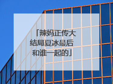 辣妈正传大结局夏冰最后和谁一起的