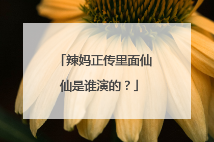 辣妈正传里面仙仙是谁演的?