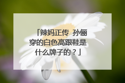 辣妈正传 孙俪穿的白色高跟鞋是什么牌子的？
