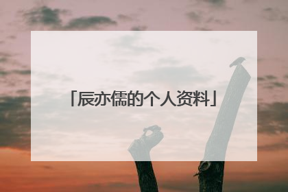 辰亦儒的个人资料