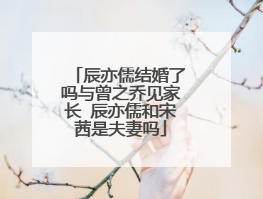 辰亦儒结婚了吗与曾之乔见家长 辰亦儒和宋茜是夫妻吗